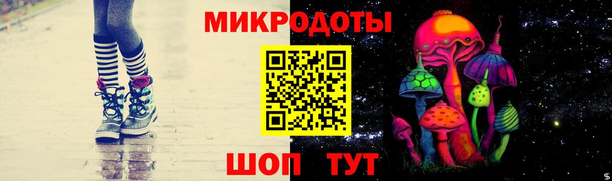 Псилоцибиновые грибы Psilocybine cubensis Минеральные Воды